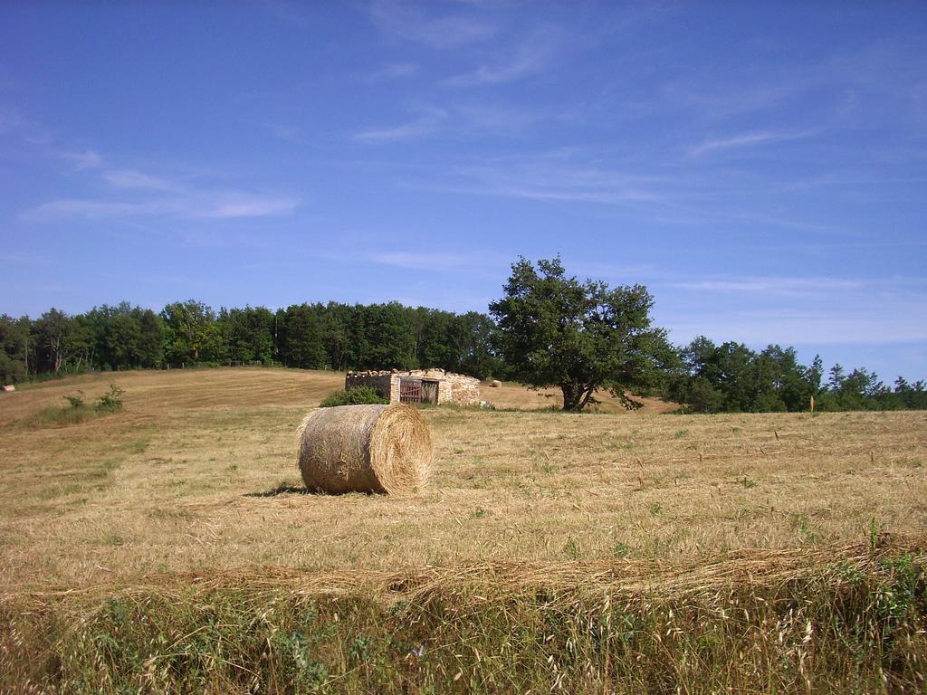 Agriturismo Bio Le Macchie Alte Manciano Exterior foto